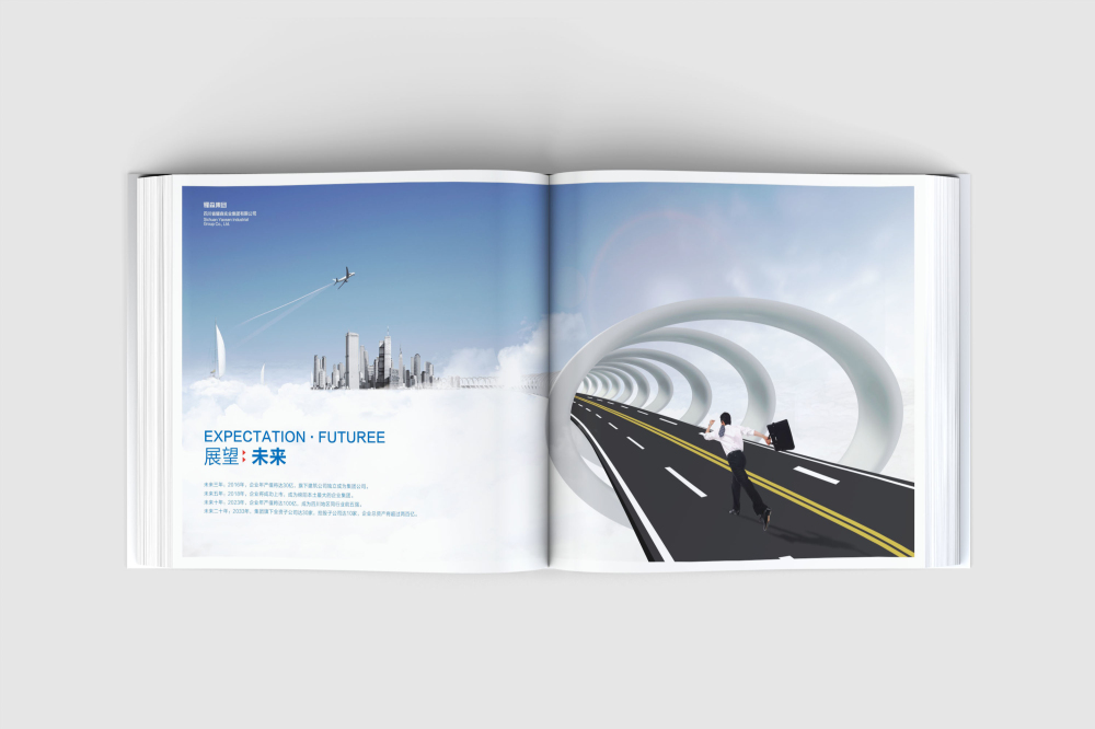 花都区画册设计